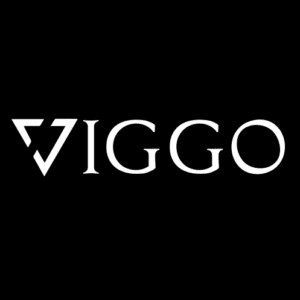 LOGO-VIGGO-PNG-19-1-1-e1702335451603 copia